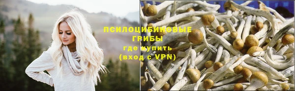 меф Алексеевка