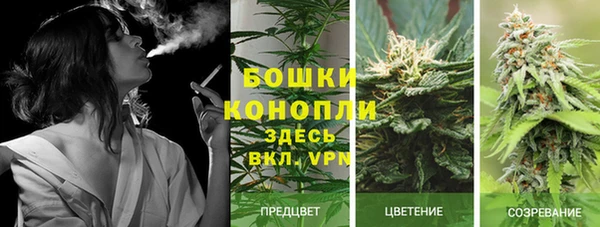 PSILOCYBIN Магас