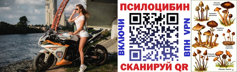 Псилоцибиновые грибы MAGIC MUSHROOMS Киров